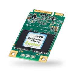 SSD накопитель Cactus Technologies mSATA 900S series